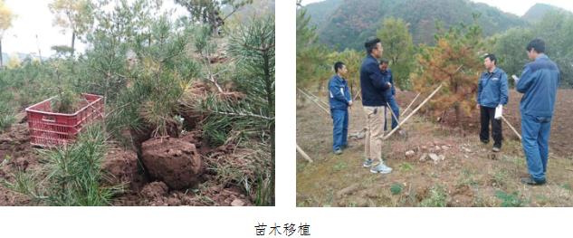 金贝体育-专业体育用品与健身器材