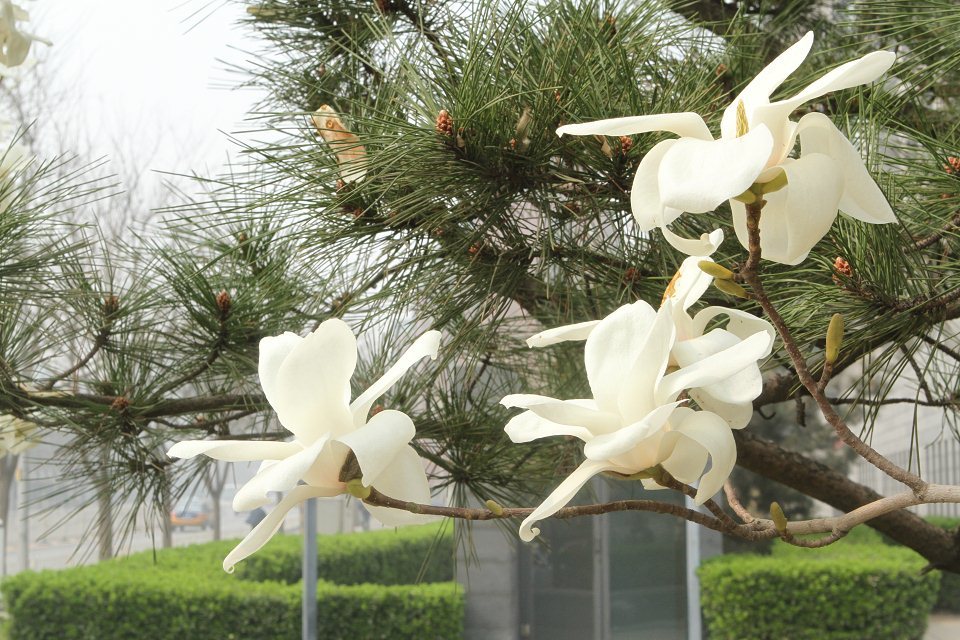 ������-רҵ������Ʒ�뽡������