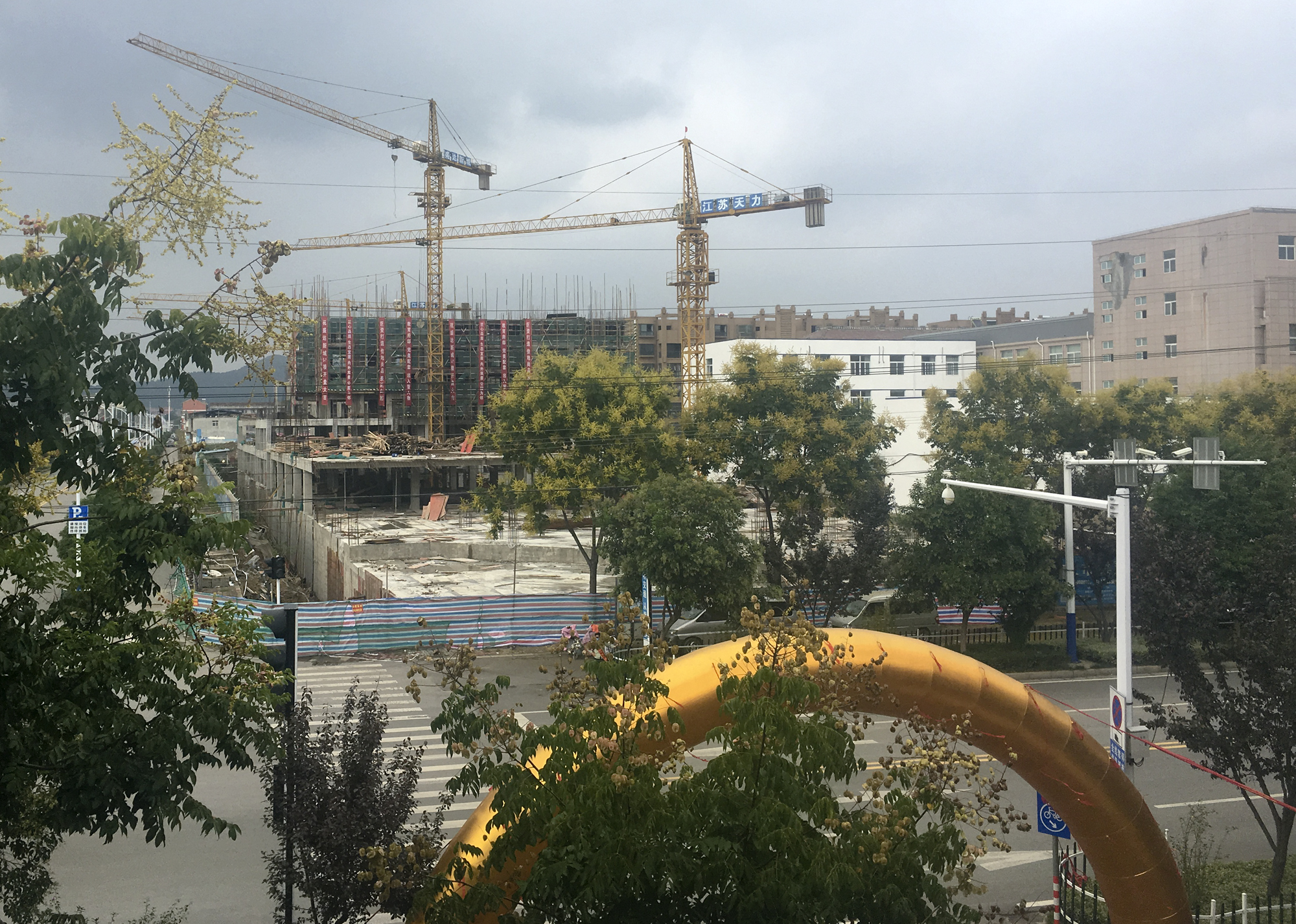 ������-רҵ������Ʒ�뽡������